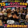 Thumbnail of new posts 027